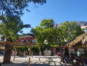 Appartements Plavi Jadran
