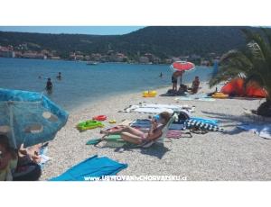 Appartements Tri palme