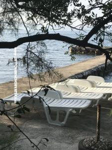 Appartement Sunshine Drace & Trstenik Croatie