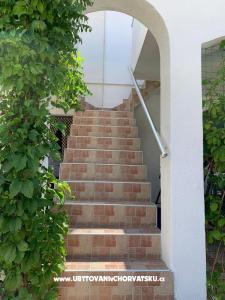 IN Appartements ( Ivo Nedić )  île Vir Croatie